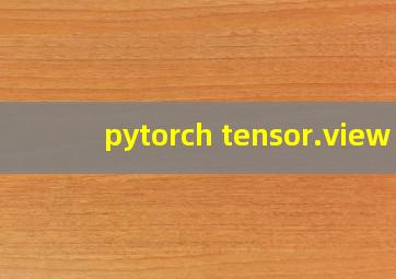 pytorch tensor.view